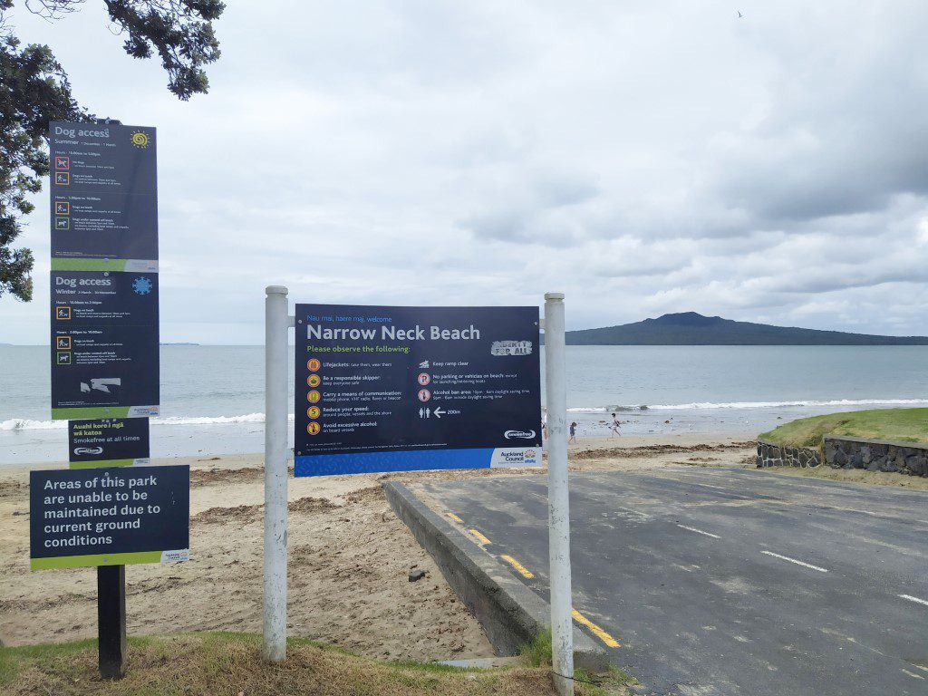 2bearbear at Narrow Neck Beach Auckland