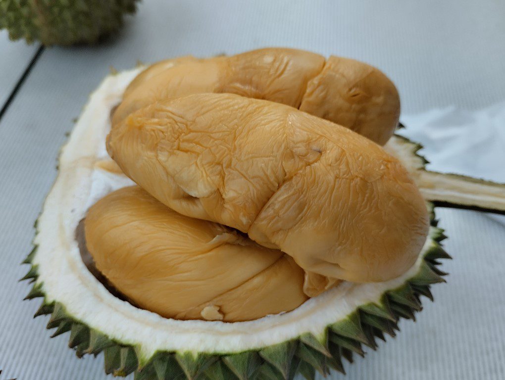 Mao Shan Wang that we had from 8321 Durian Plantation Penang