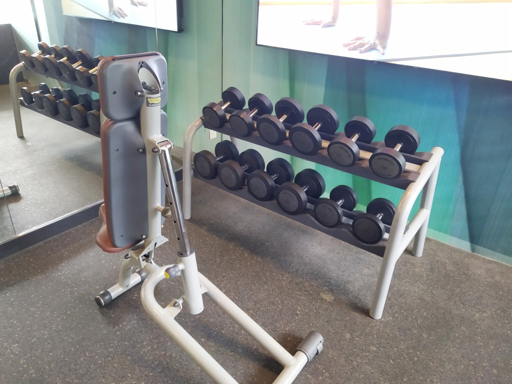 Free weights in Gym of Pullman Orchard Singapore