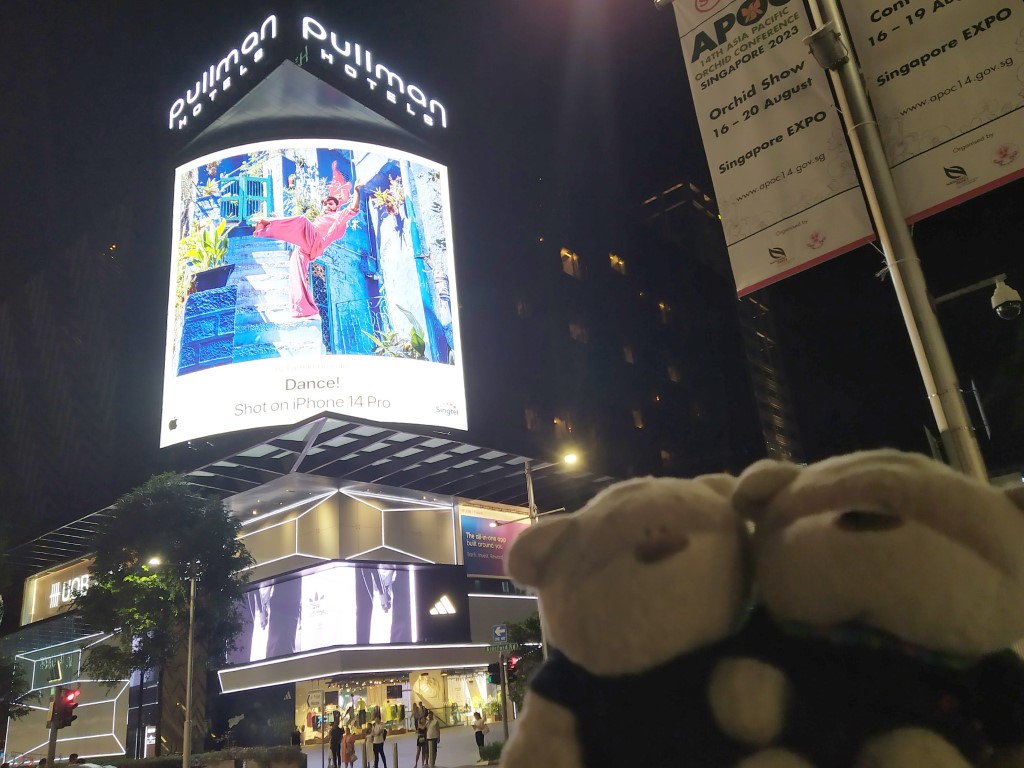 Walking along Orchard Road after dinner at Eden Restaurant Pullman Singapore Orchard