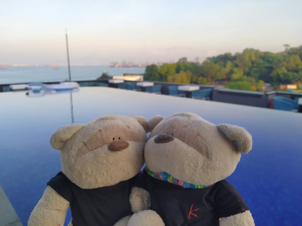 2bearbear at Sky Pool - The Rooftop Swimming Pool of Outpost Hotel Sentosa (also used by 1-Altitude Coast)
