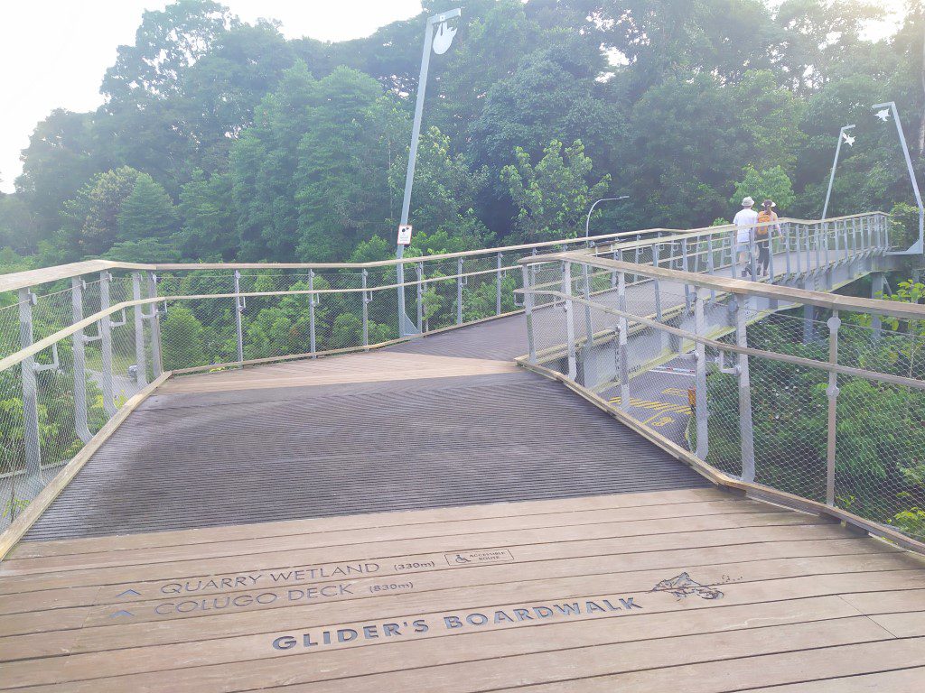 Starting our walk from Rifle Range Nature Park (Senapang Entrance) along Glider's Boardwalk to Colugo Deck and Quarry Wetland