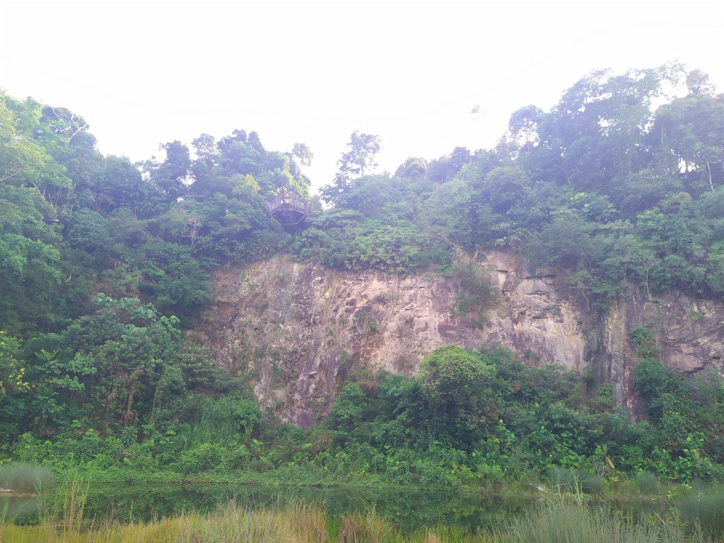 Quarry Wetland with Colugo Deck at the top at Rifle Range Nature Park
