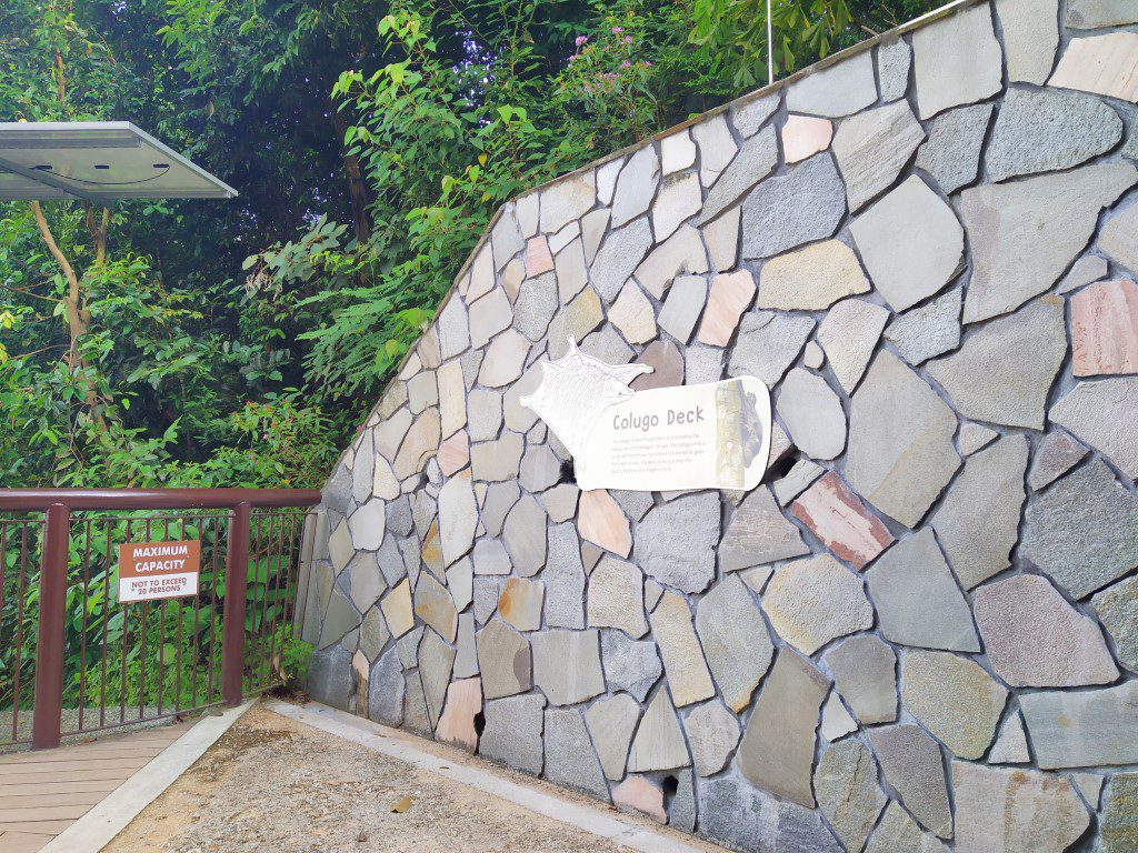 Arriving at Colugo Deck Rifle Range Nature Park