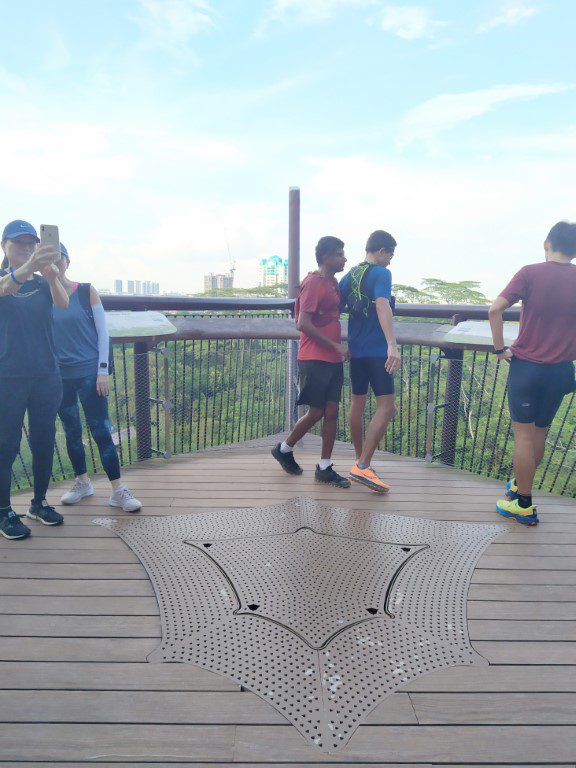 Colugo Deck Rifle Range Nature Park Singapore (31m height)