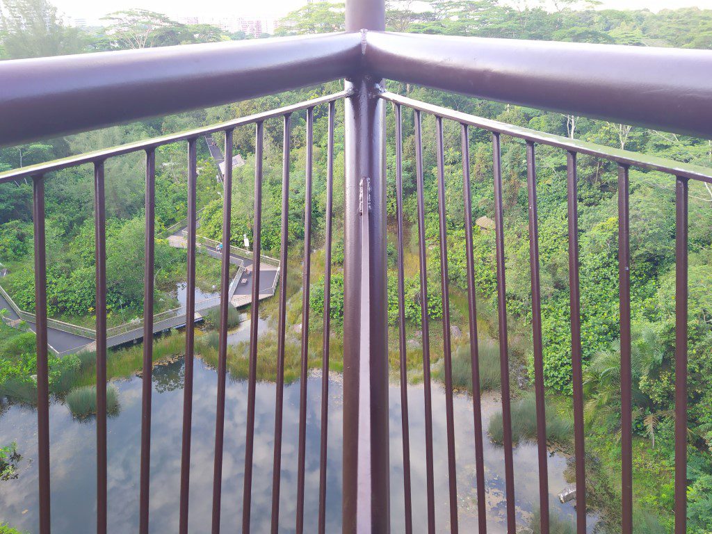 View of Quarry Wetland from Colugo Deck Rifle Range Nature Park