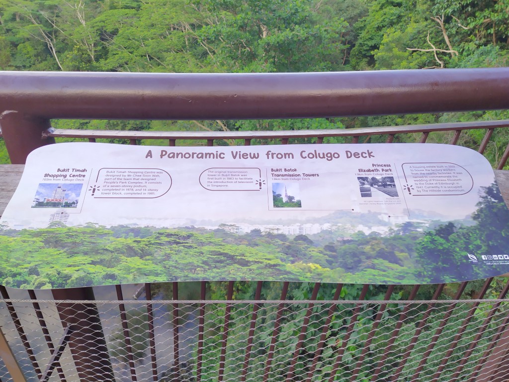 Panoramic View from Colugo Deck Rifle Range Nature Park (Bukit Timah Shopping Centre, Bukit Batok Transmission Towers, Princess Elizabeth Park)