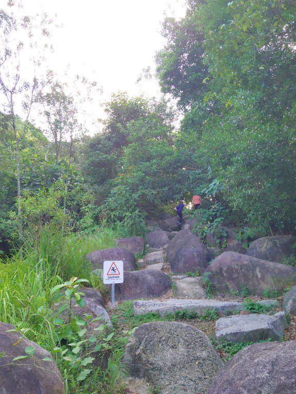 Paths to take to ascend to Colugo Deck at Rifle Range Nature Park (Challenging Route)