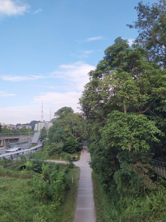 Rifle Range Nature Park right next to Rail Corridor Singapore