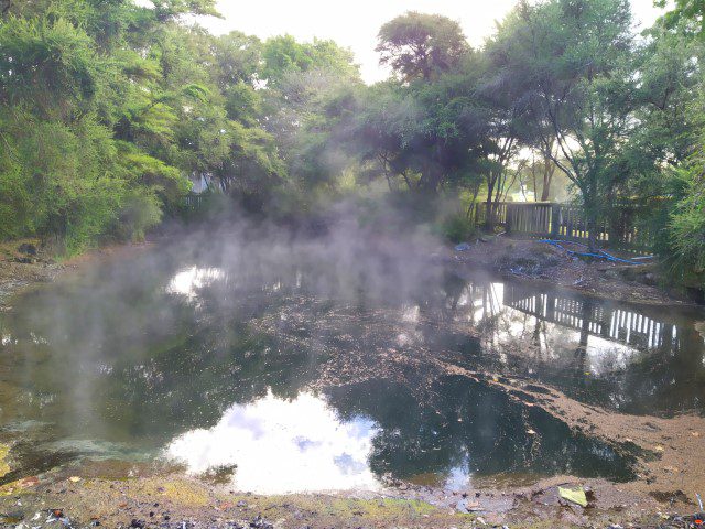 Heading towards hot spring pools at Kuirau Park in hopes of finding the free foot bath