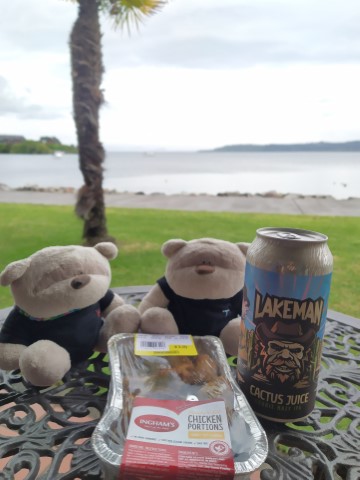 Chilling at our Lake View Room at Millennium Hotel Manuels Taupo