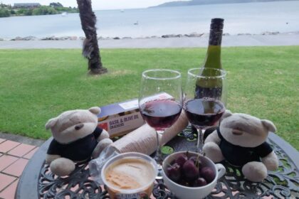 Self-prepared wine and canapes at Millennium Hotels and Resorts Manuels Taupo during sunset
