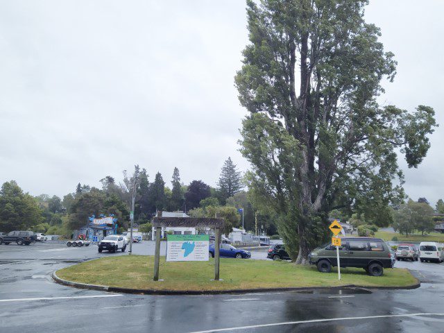 Arriving at Taupo Boat Harbour for Lake Taupo Maori Rock Carving Cruise with Chris Jolly