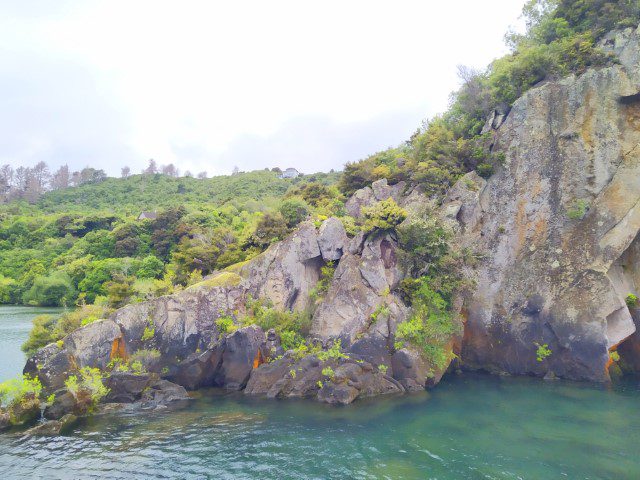 Carvings around Maori Rock Carvings on Lake Taupo