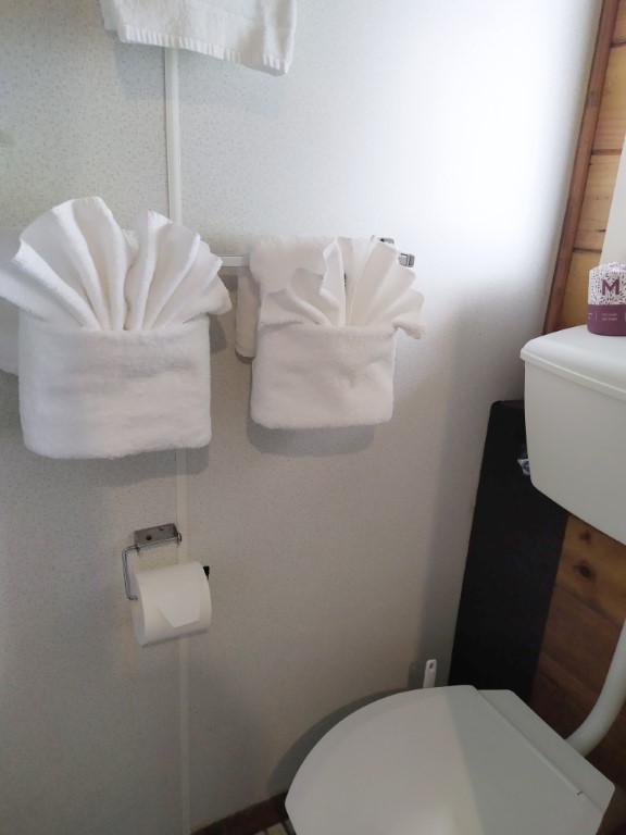 Skotel Alpine Resort Standard Queen Room Review - Attached Bathroom