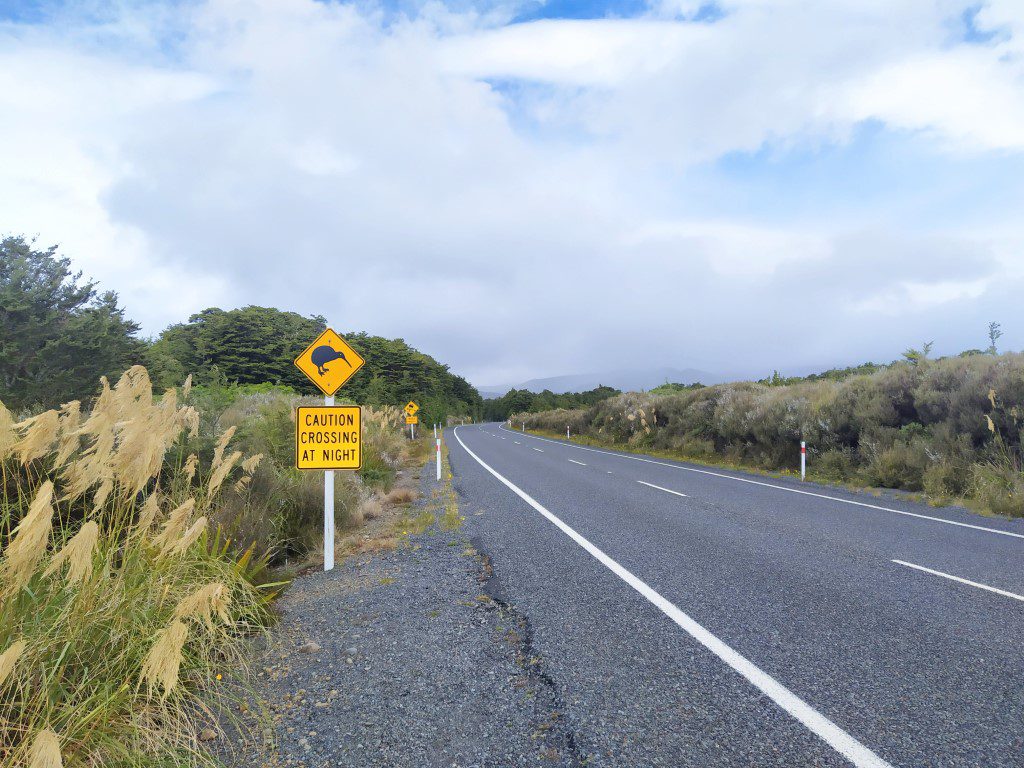 Enroute to Tawhai Falls New Zealand