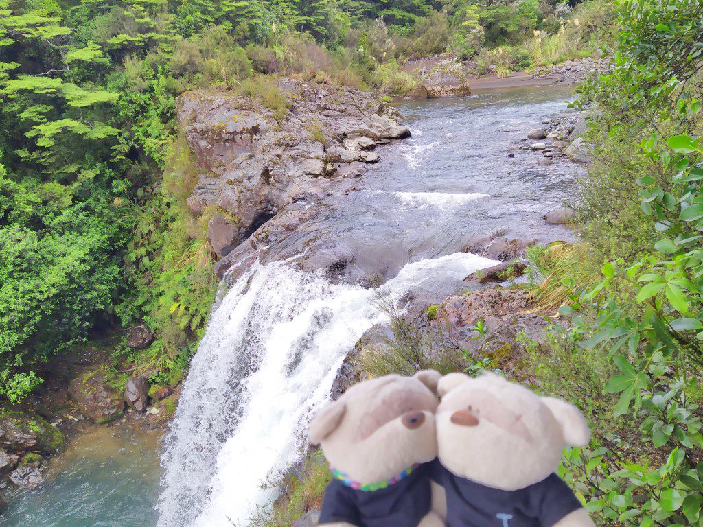 2bearbear at Tawhai Falls (aka Gollums Pool) Manawatu-Wanganui, New Zealand