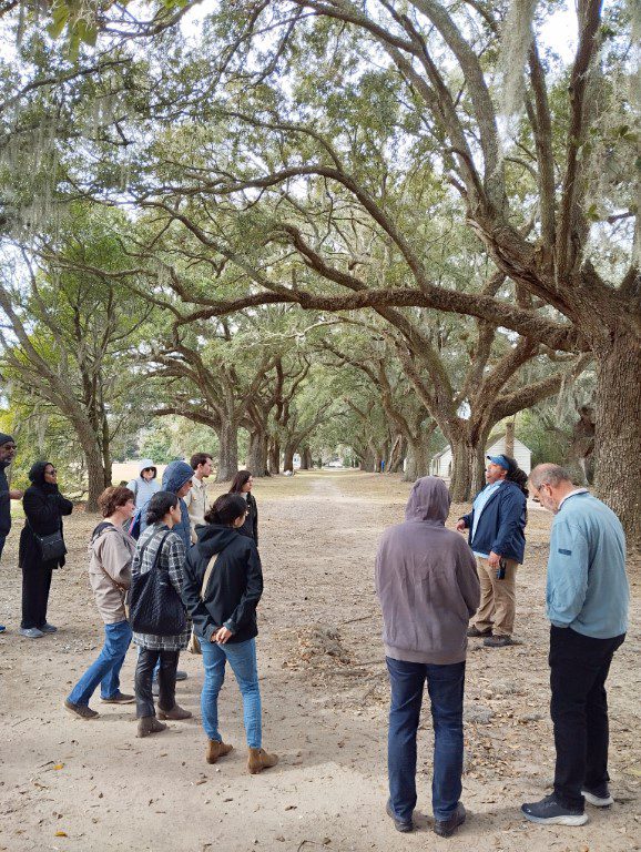 Oak trees that line the McLeod plantation today