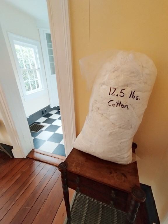 12.5 pounds of cotton at mansion of McLeod Plantation