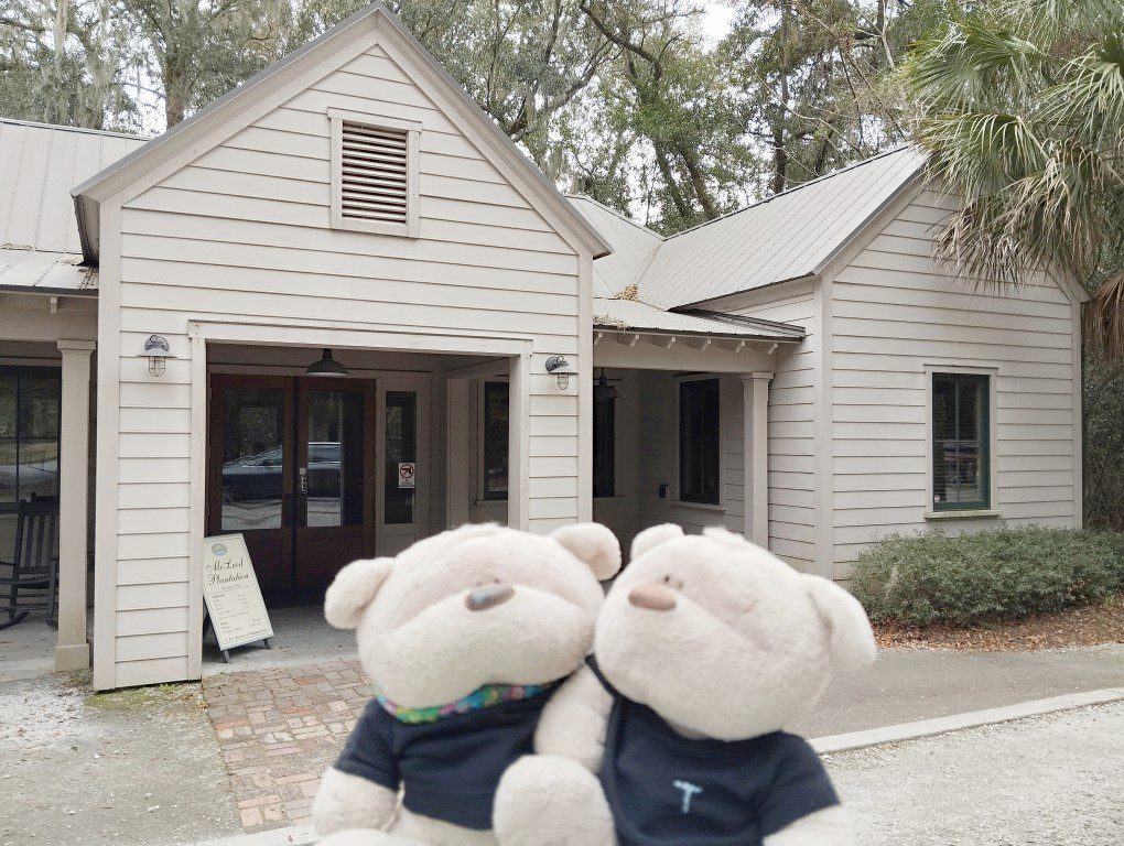 2bearbear at McLeod Plantation Historic Site