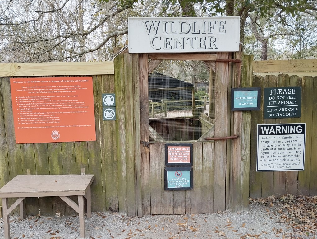 Wildlife Center Charleston Magnolia Plantation Review
