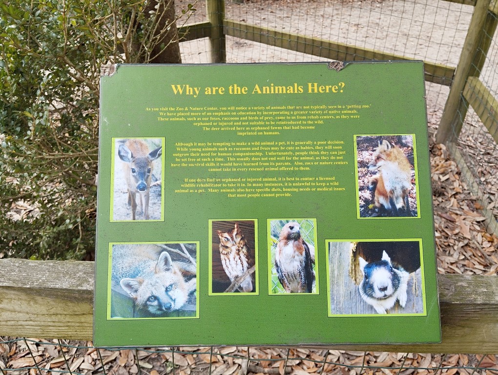 Explanation of how the animals arrived at the Wildlife Center at Magnolia Plantation Charleston
