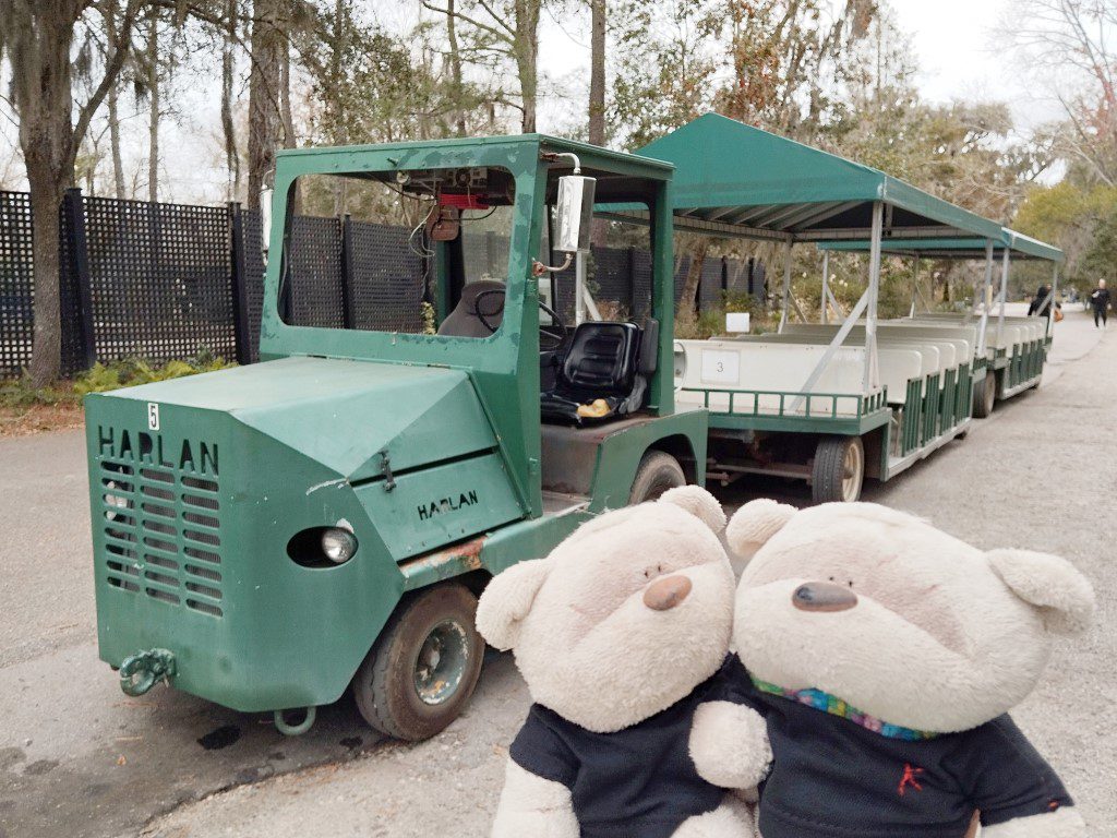 Train ride around Magnolia Plantation at 1:35pm