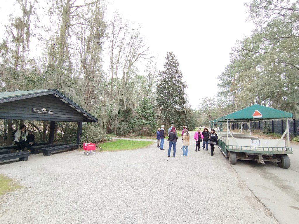 Waiting area next to Wildlife Center for the Train around Magnolia Plantation Gardens