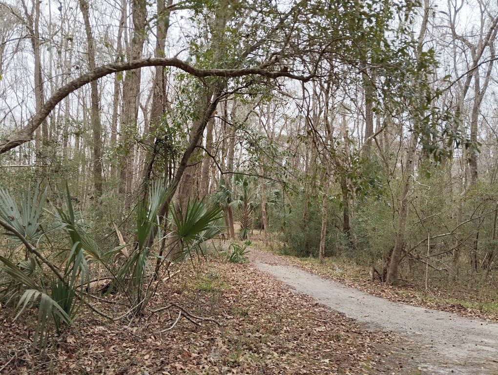 Train ride around Magnolia Plantation Charleston