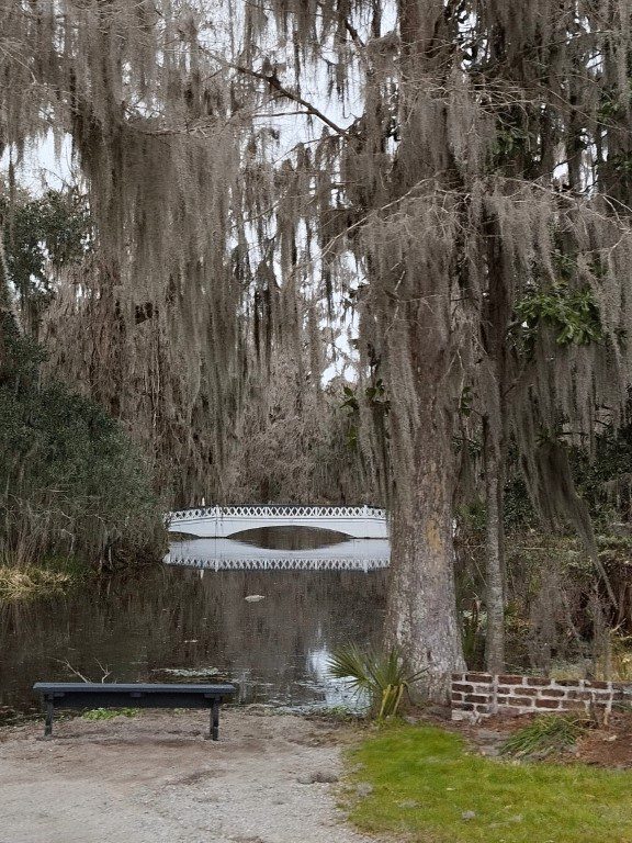 Iconic White Bridge at Magnolia Plantation Charleston where wedding photos are taken