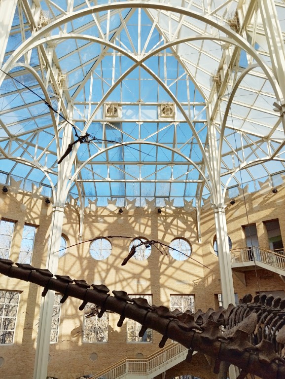 Beautiful glass roofing where natural light enters Fernbank Museum of Natural History