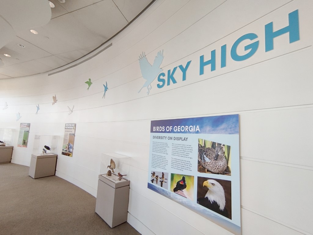 Sky High exhibits at Fernbank Museum of Natural History Atlanta Georgia