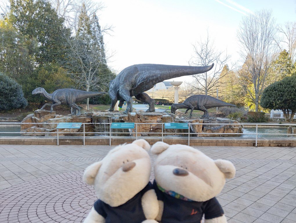 2bearbear at Fernbank Museum of Natural History Atlanta Georgia