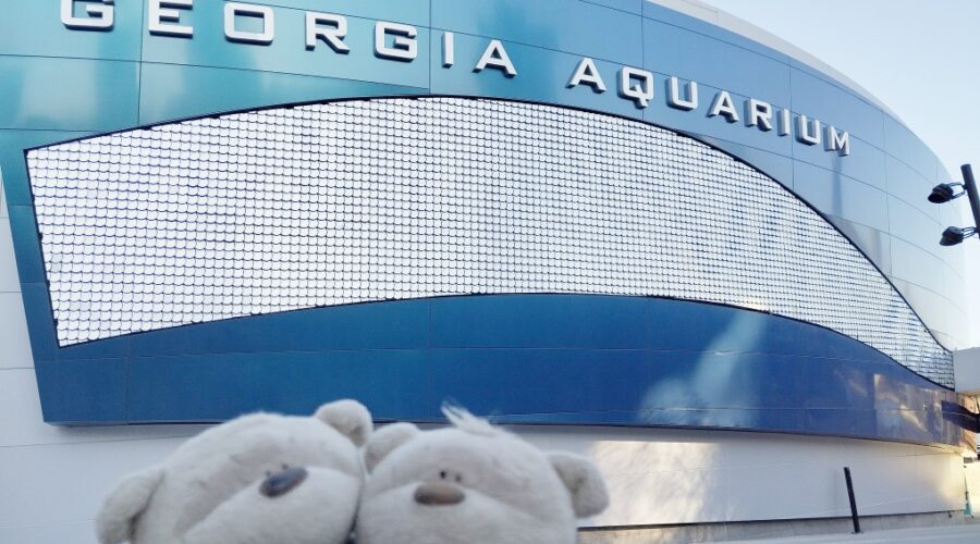 2bearbear at Georgia Aquarium Atlanta Review