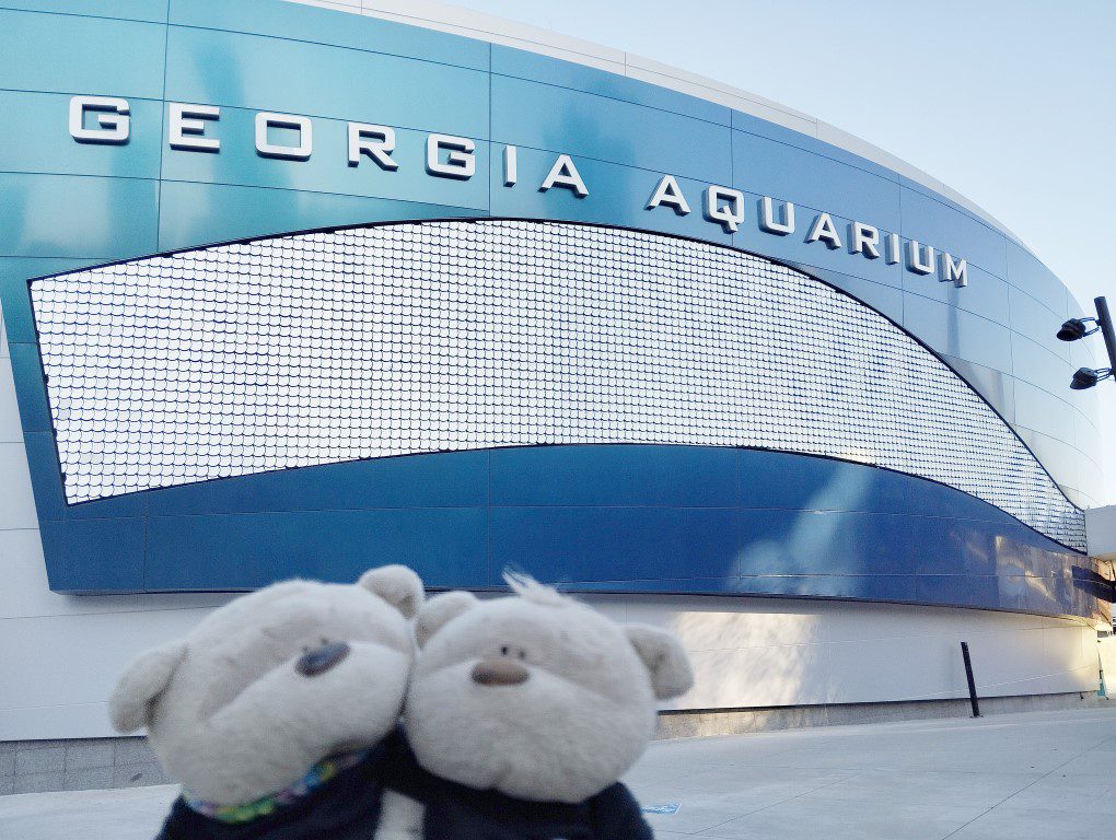 2bearbear at Georgia Aquarium Atlanta Review