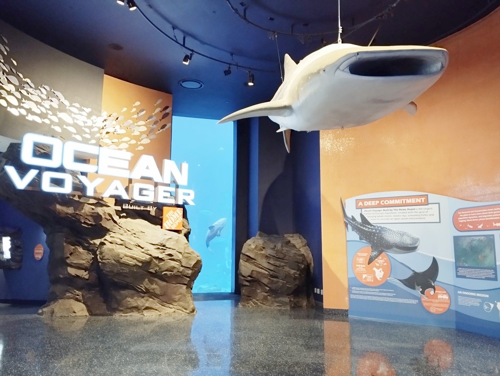 Ocean Voyager at Georgia Aquarium Atlanta
