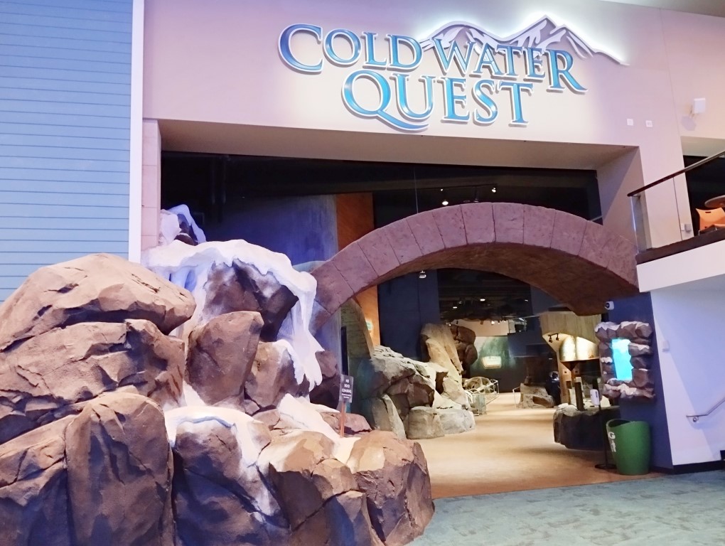 Coldwater Quest Georgia Aquarium Atlanta Review