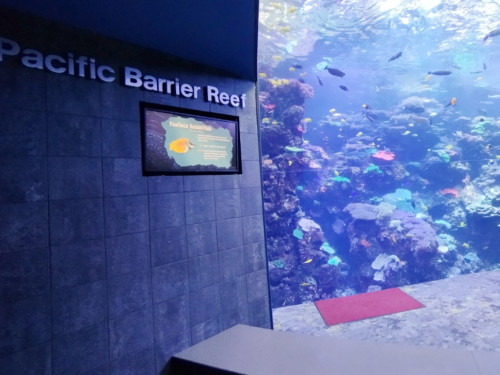 Tropical Diver Georgia Aquarium Atlanta Review - Pacific Barrier Reef