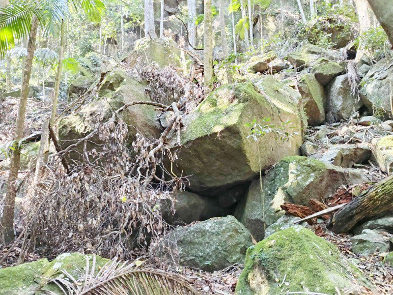 Rocks formation found at Tamborine National Park