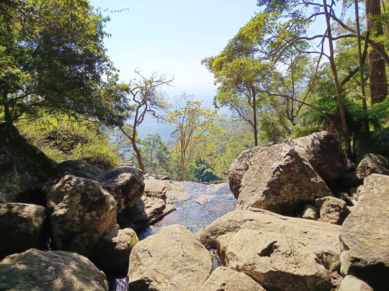 Views out to Pacific Ocean from Tamborine National Park